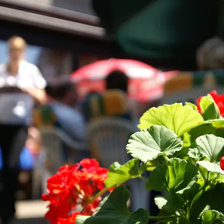 فندق Buschhausen آخن