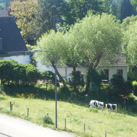 Buschhausen