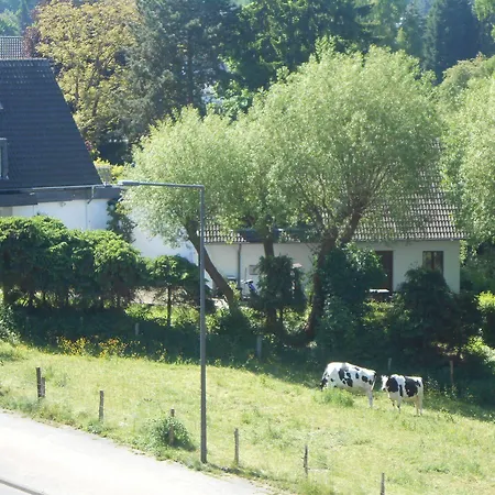 Buschhausen 3*