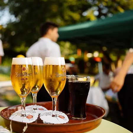 فندق Buschhausen آخن