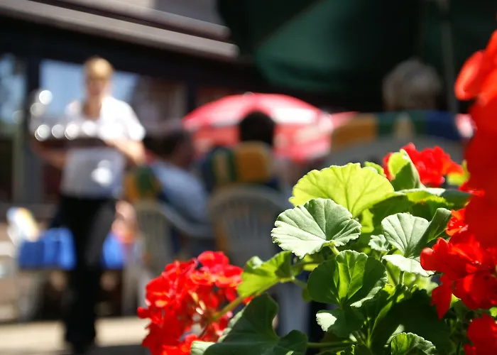 Ξενοδοχείο Buschhausen Άαχεν